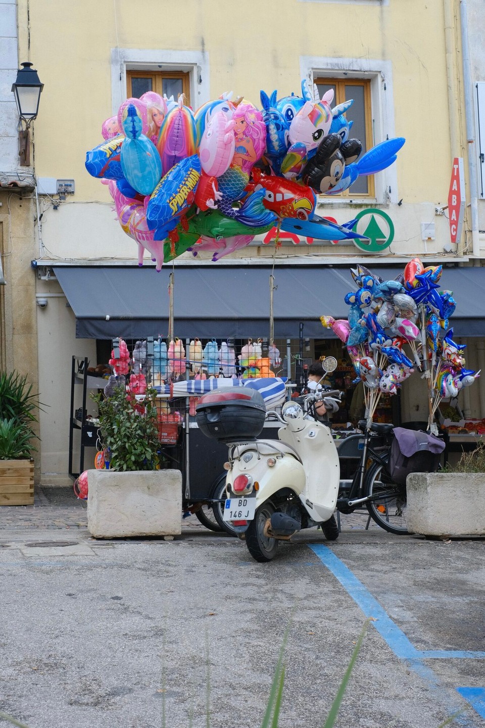 Frankreich - La Garde-Freinet - 