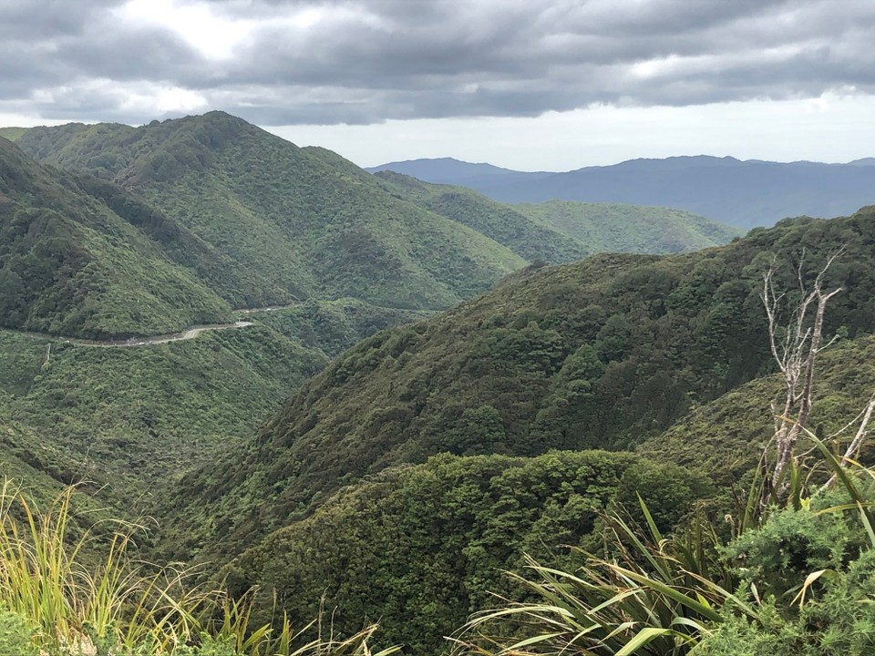 Neuseeland - Martinborough - Von Wellington nach Nordosten 