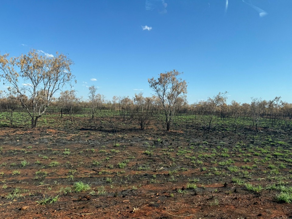 Australien - Tablelands - Wiedr mol a Stückli abbrennt.