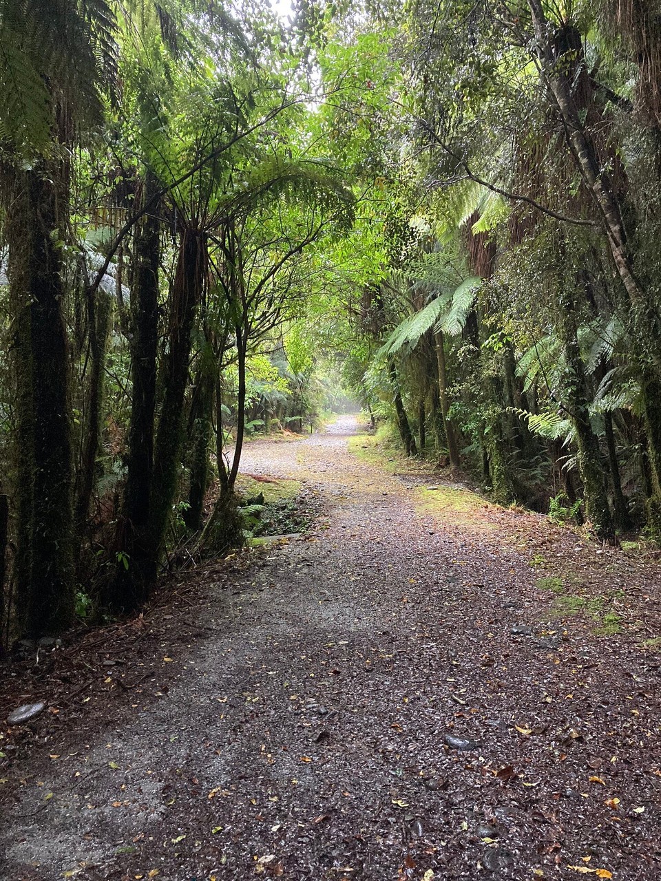 Neuseeland - Westland National Park - Danach geht’s an die frische Luft oder eben wieder mal in den Regen 😂