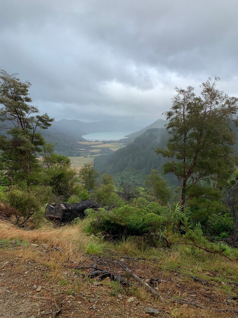 Neuseeland - Picton - 