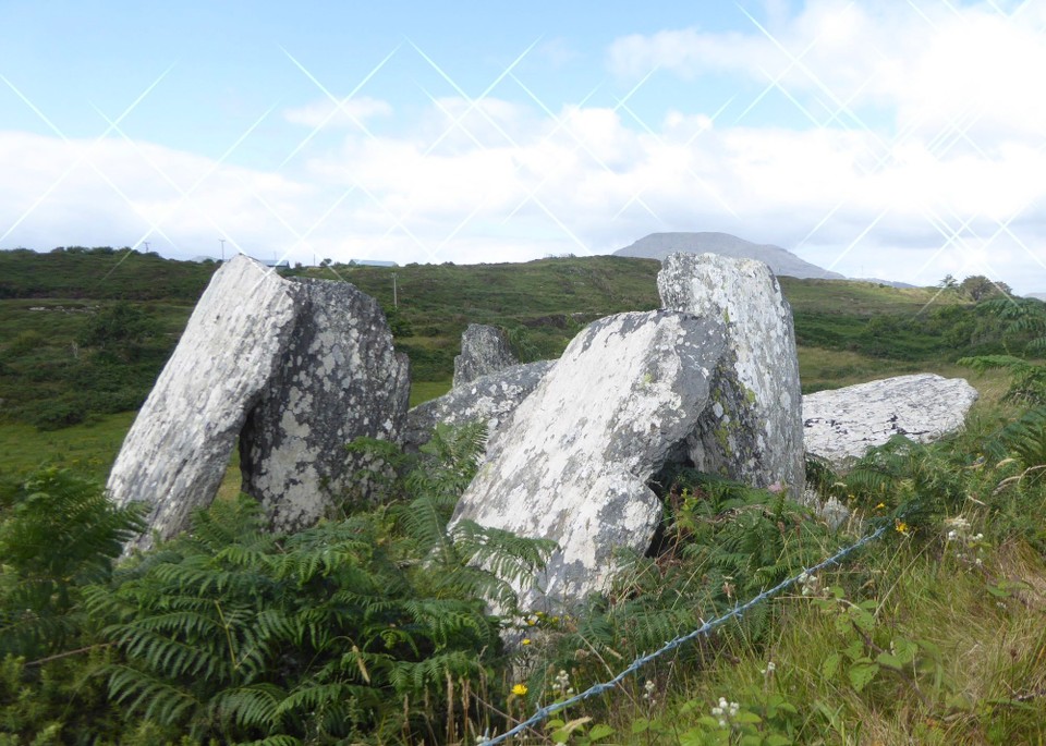 Ireland - Bere Island - Ardaragh Wedge Tomb. There are 4 different megalithic tomb types, and the wedge tomb is probably the last dating from the early Bronze Age (2000BC). Wedge Tombs are large stones boxes with a sloping roof slab, originally covered with a cairn of stones. There are around 400 wedge tombs in Ireland.