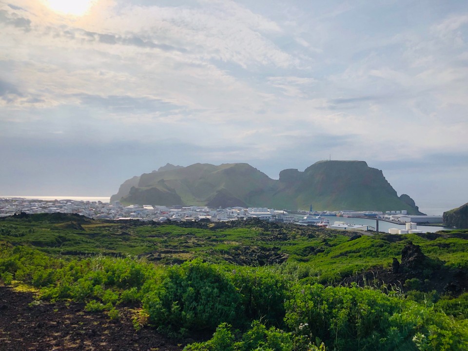 Island - Vestmannaeyjar - Blick auf den Hafen…