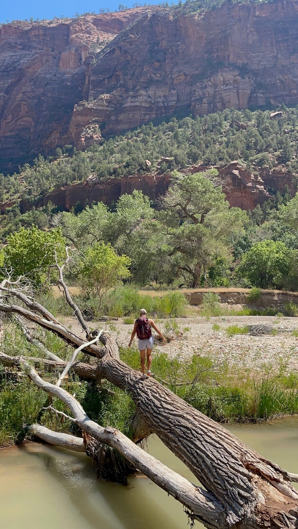Vereinigte Staaten - Springdale - Ohni Aktion gaht bi üs nüt.😂😂 Mier hend no welle chli zrugg laufe richtig South entrance. Blöderwis sind denn ufem Horse Trail glandet und hend de falsch Abzwieger verwütsch und hend denn über deh Baustamm müesse, zum de Fluss z‘überquere.😂😂