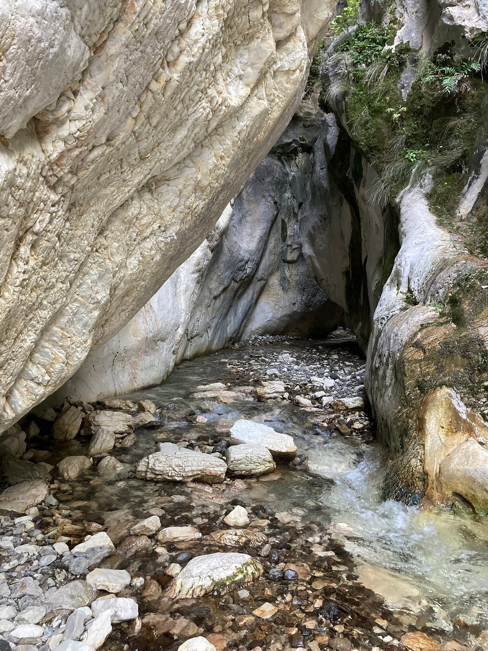 Neuseeland - Ward - Ziel erreicht 😎