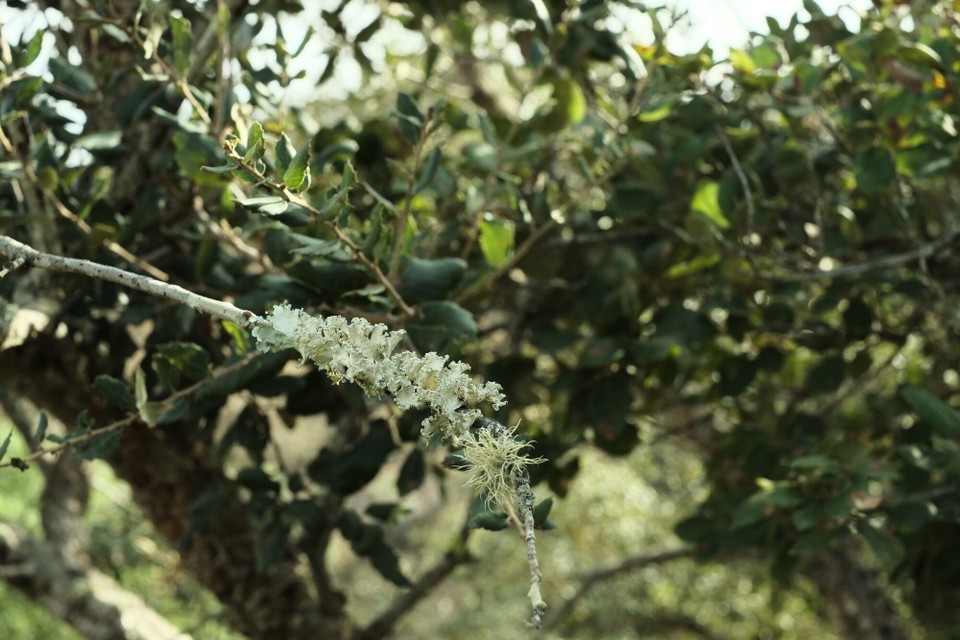 Portugal - Aljezur - 