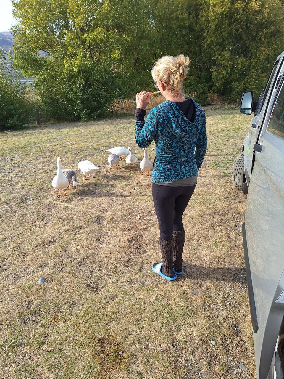 Neuseeland - Cromwell - 