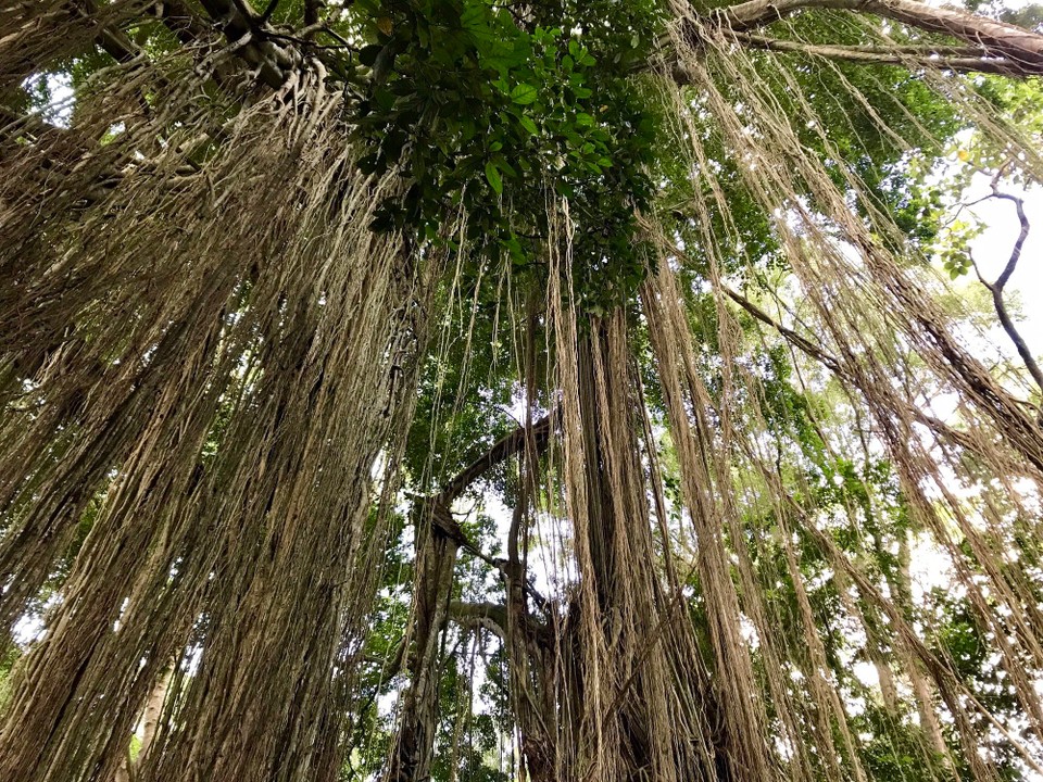 Indonesien - Gianyar - 