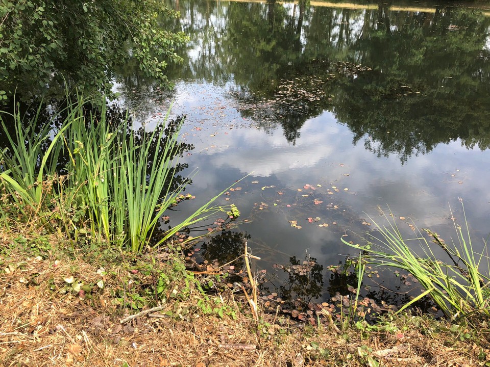 Frankreich - Cesson-Sévigné - 
