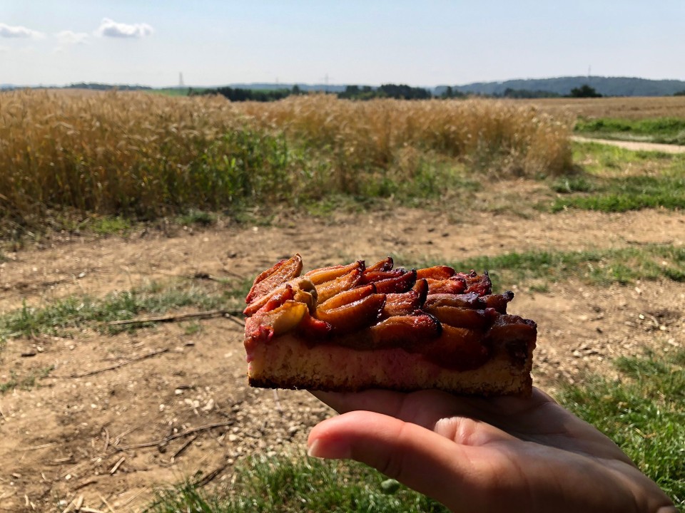 Deutschland - Kipfenberg - Boah war der lecker - Zwetschgendatschi!