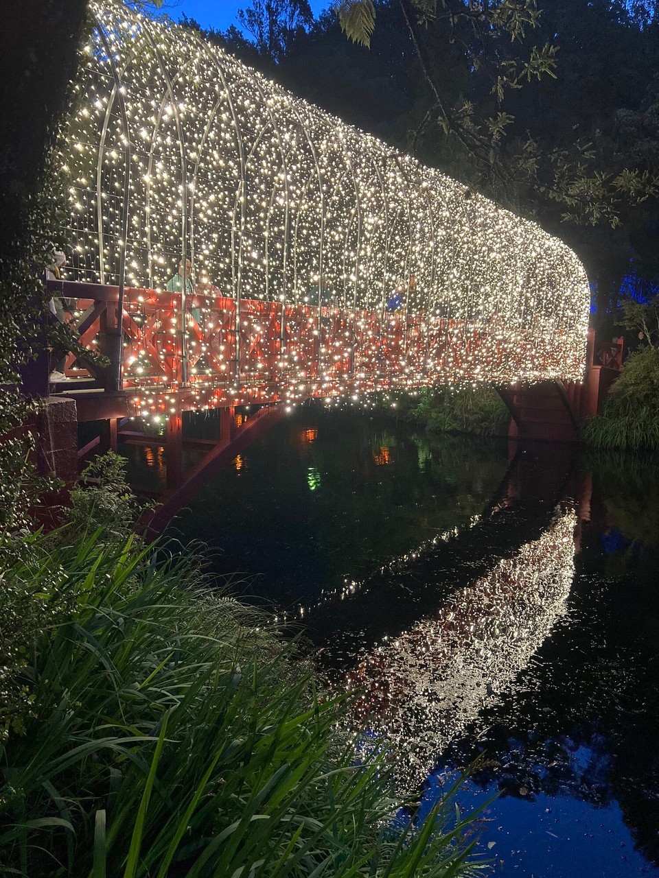 Neuseeland - New Plymouth - 