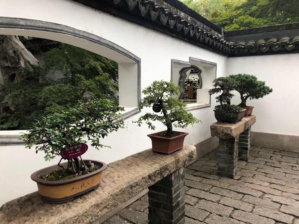 China - Shanghai - 