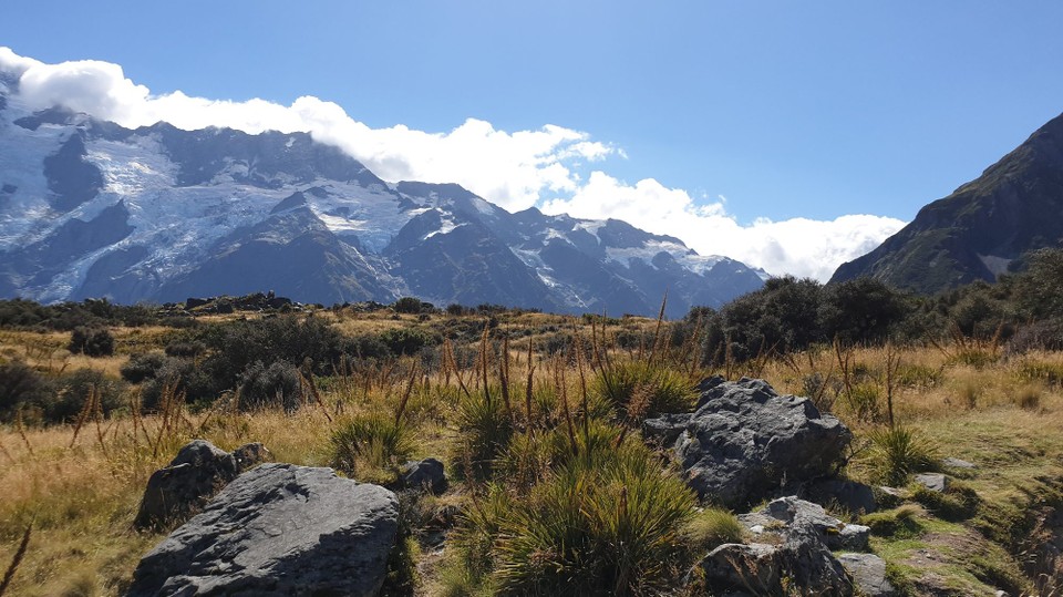 Neuseeland - Aoraki - 