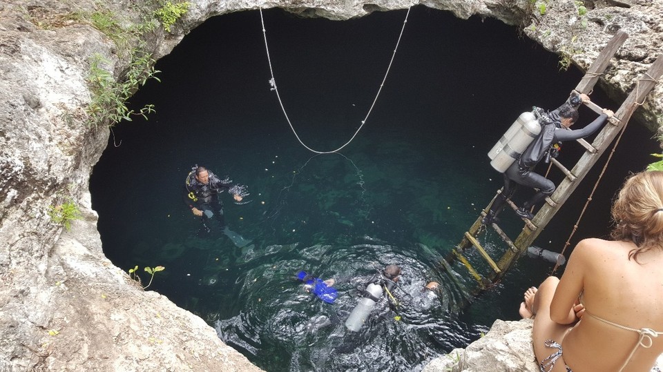 Mexiko - Tulum - Heute haben wir die Cenoten erkundet. Auf diese haben wir uns schon lange darauf gefreut. Eintritt liegt bei 5 - 6 €. Zitat lonley Planet: "In den Cenoten kann man Baden oder schnorcheln, muss aber auf Krokodile achten".
Jeder der mich kennt, weiß dass ich mich vor nichts mehr fürchte, als vor Krokodilen und .......Krokodilen.
Naja, wir haben es trotzdem ausprobiert😁. Ne im Ernst, es ist meistens total ungefährlich. Am besten beobachtet man kurz, ob die Menschen vor einem im Wasser noch alle leben und dann springt man auch hinein😅