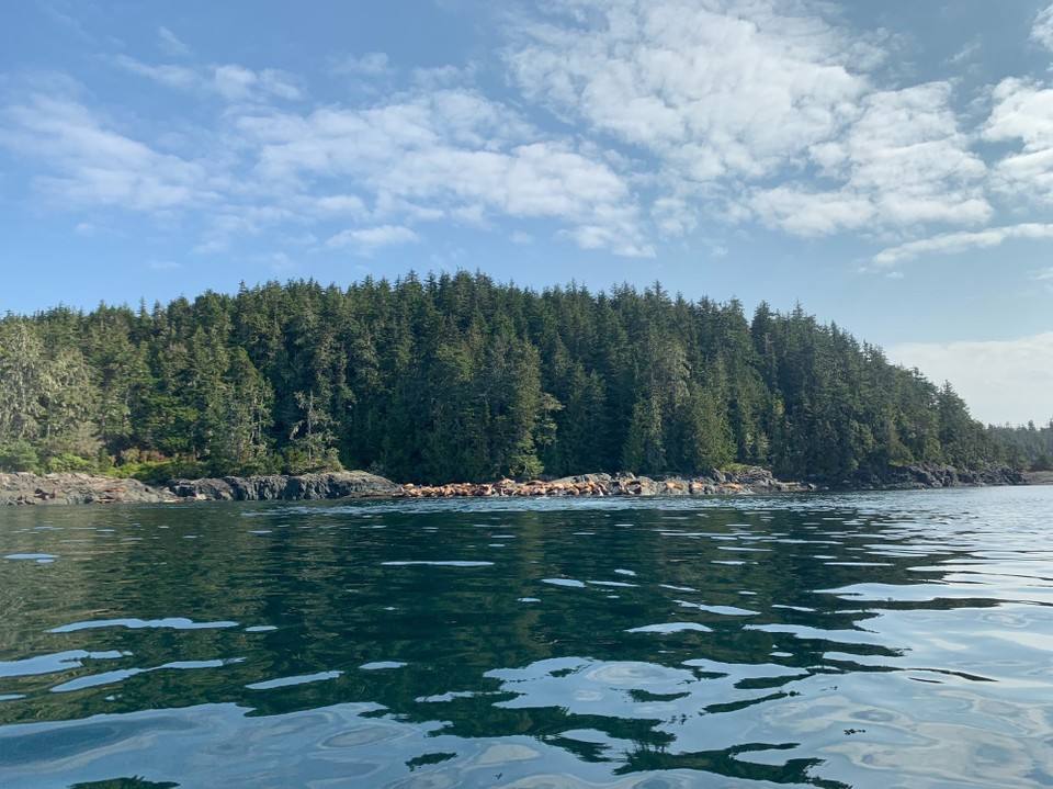 Kanada - Mount Waddington A - 