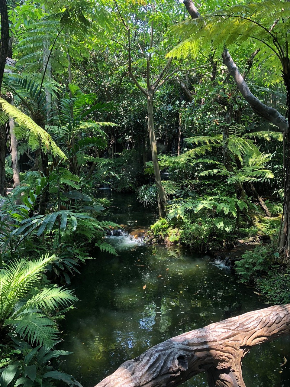 Thailand - Karon - Restaurant „Khaomao-Khaofang Imaginary Jungle“