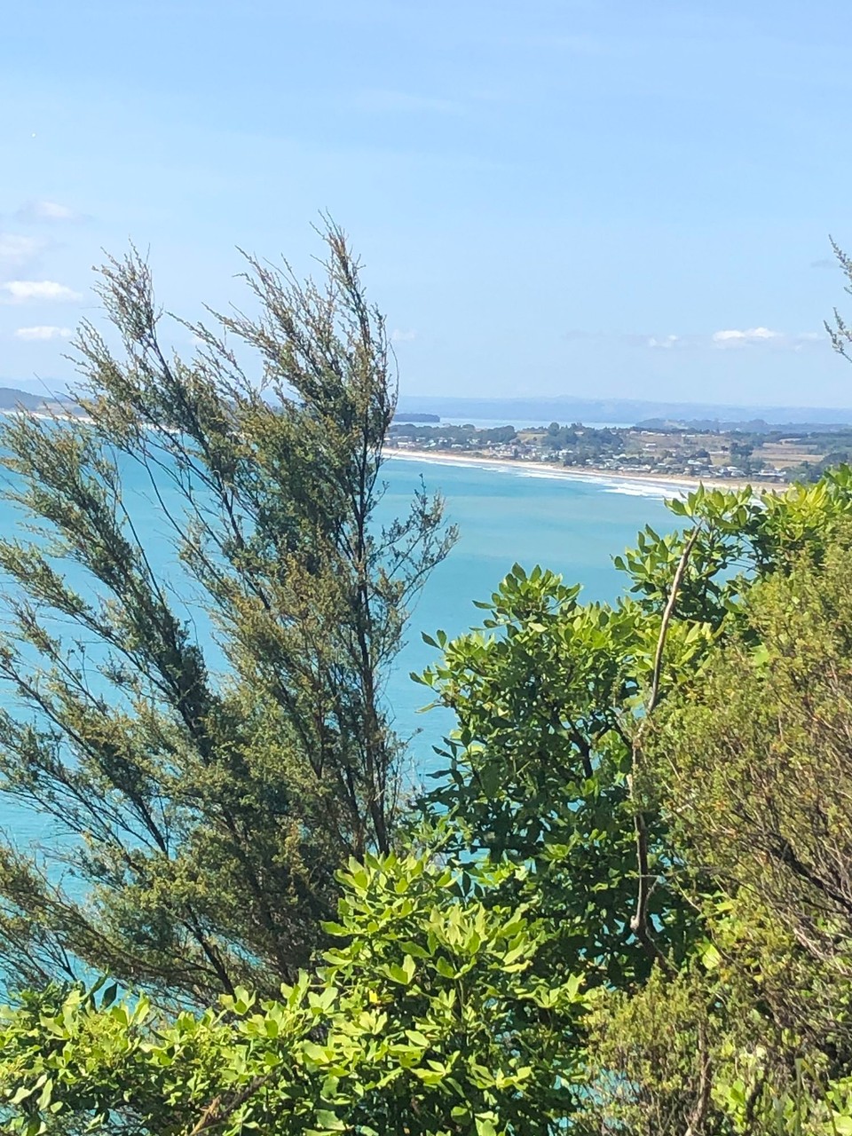 Neuseeland - Waihi Beach - Im Hintergrund sieht man den nördlichen Ausläufer des Tauranga Harbour. 