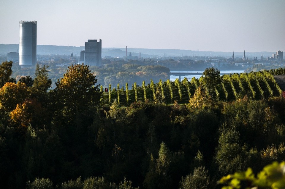 Deutschland - Bonn - Bonns hinter uns liegende Skyline