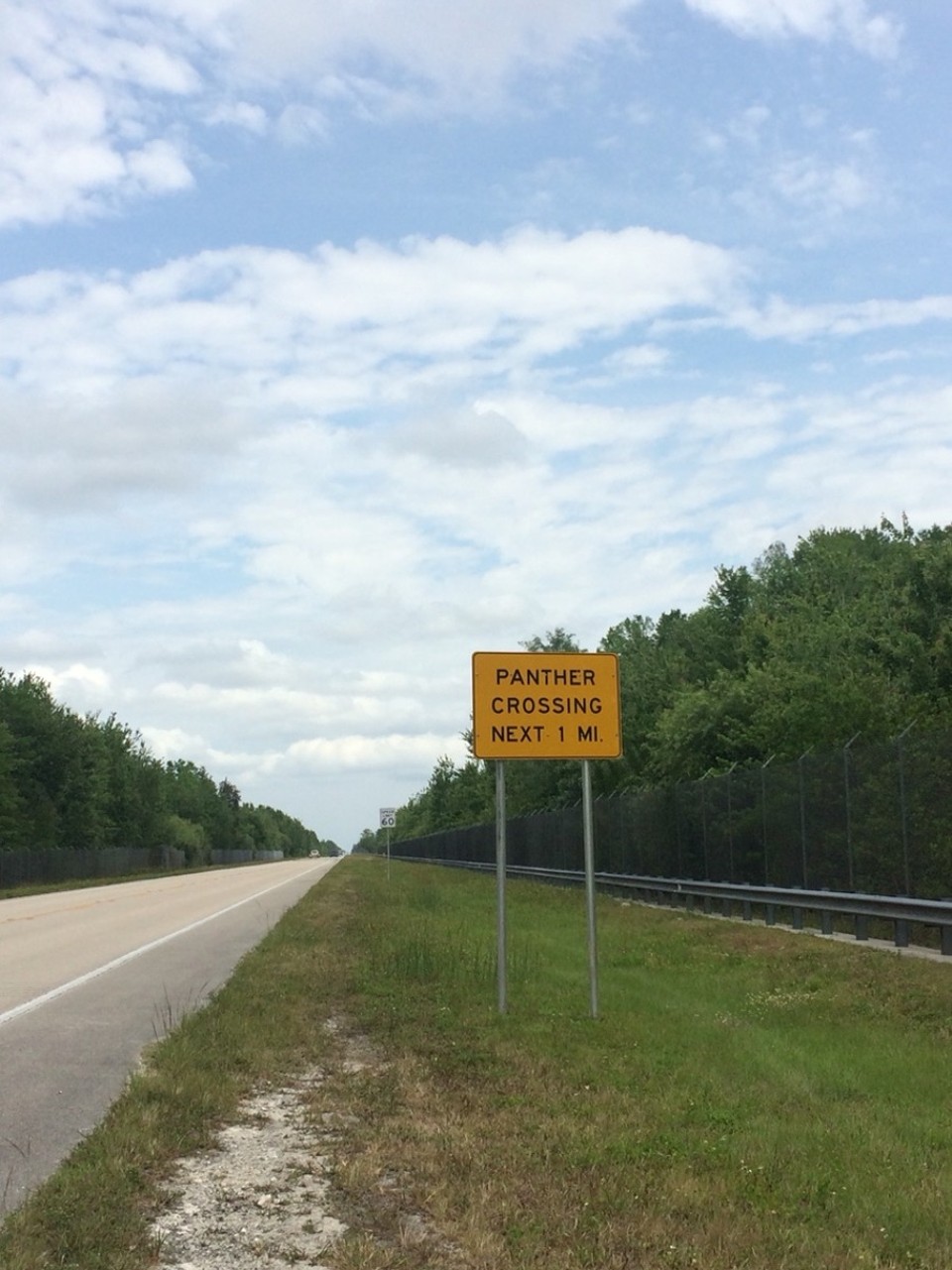 Vereinigte Staaten - Homestead - Auf dem Weg nach Tampa...