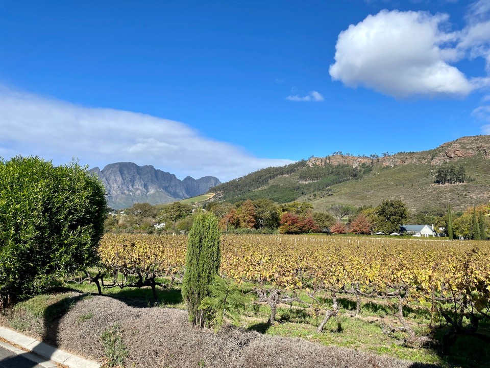 Südafrika - Franschhoek - 