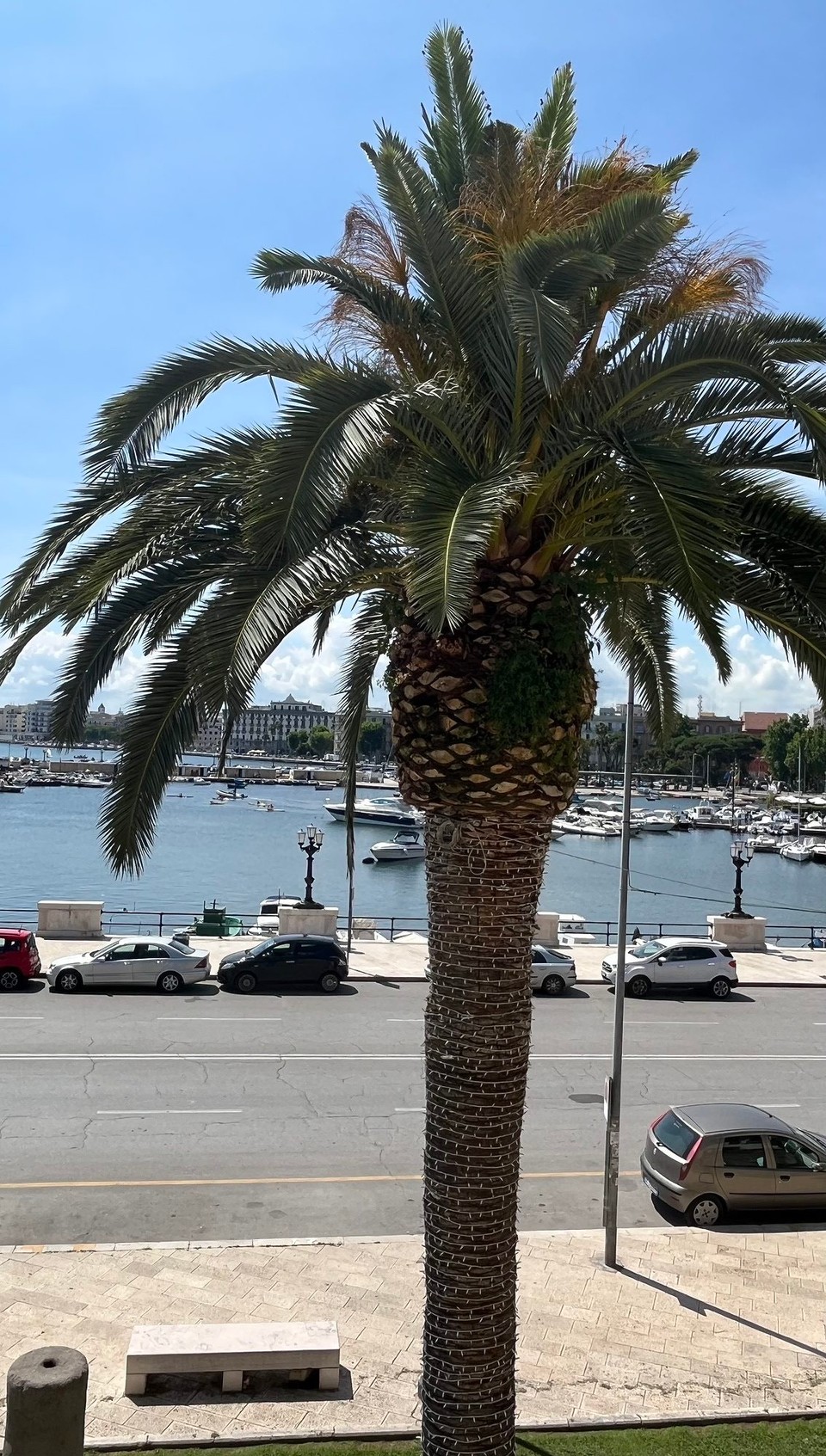 Italien - Bari - 