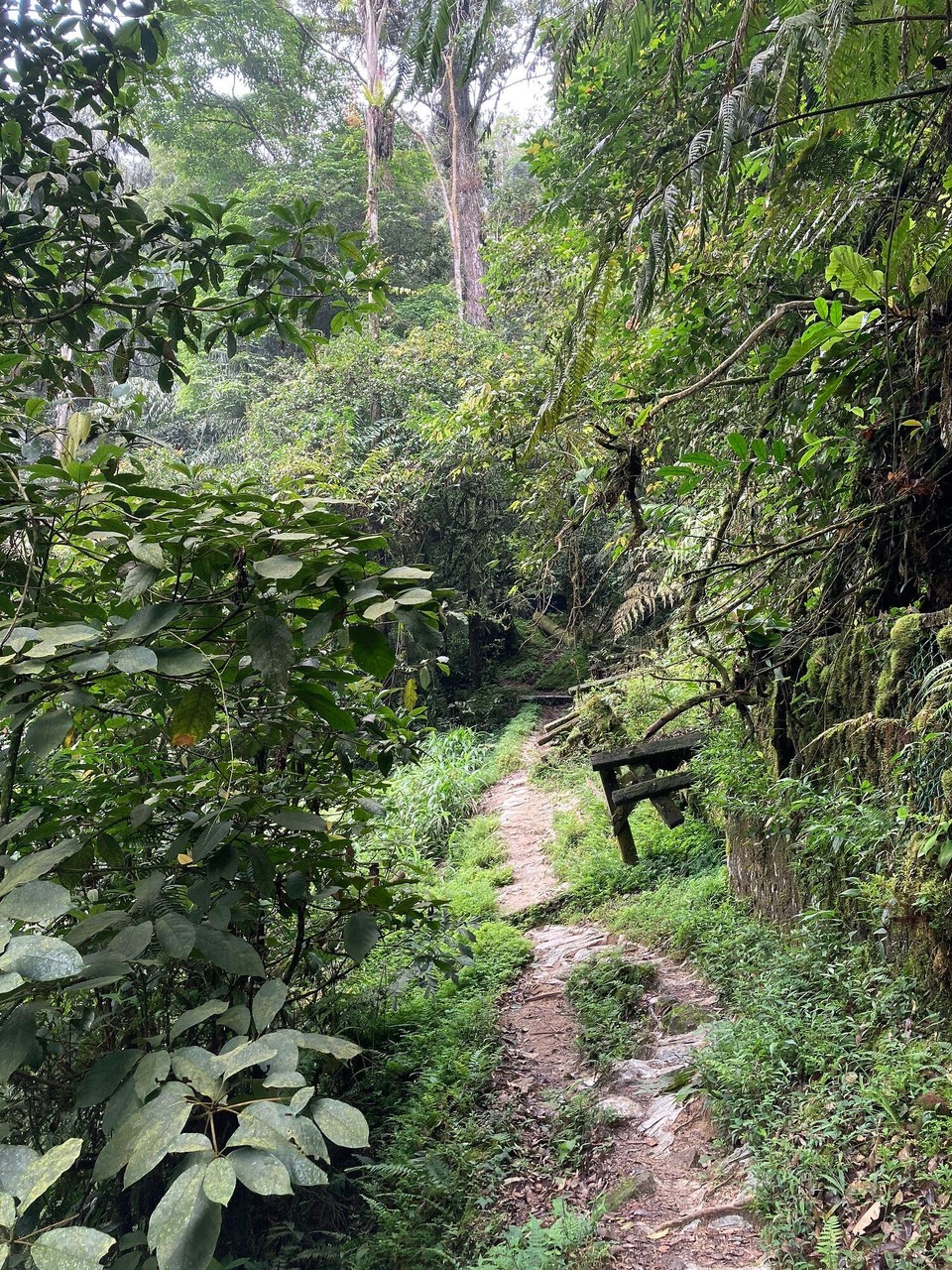 Malaysia - Tanah Rata - 