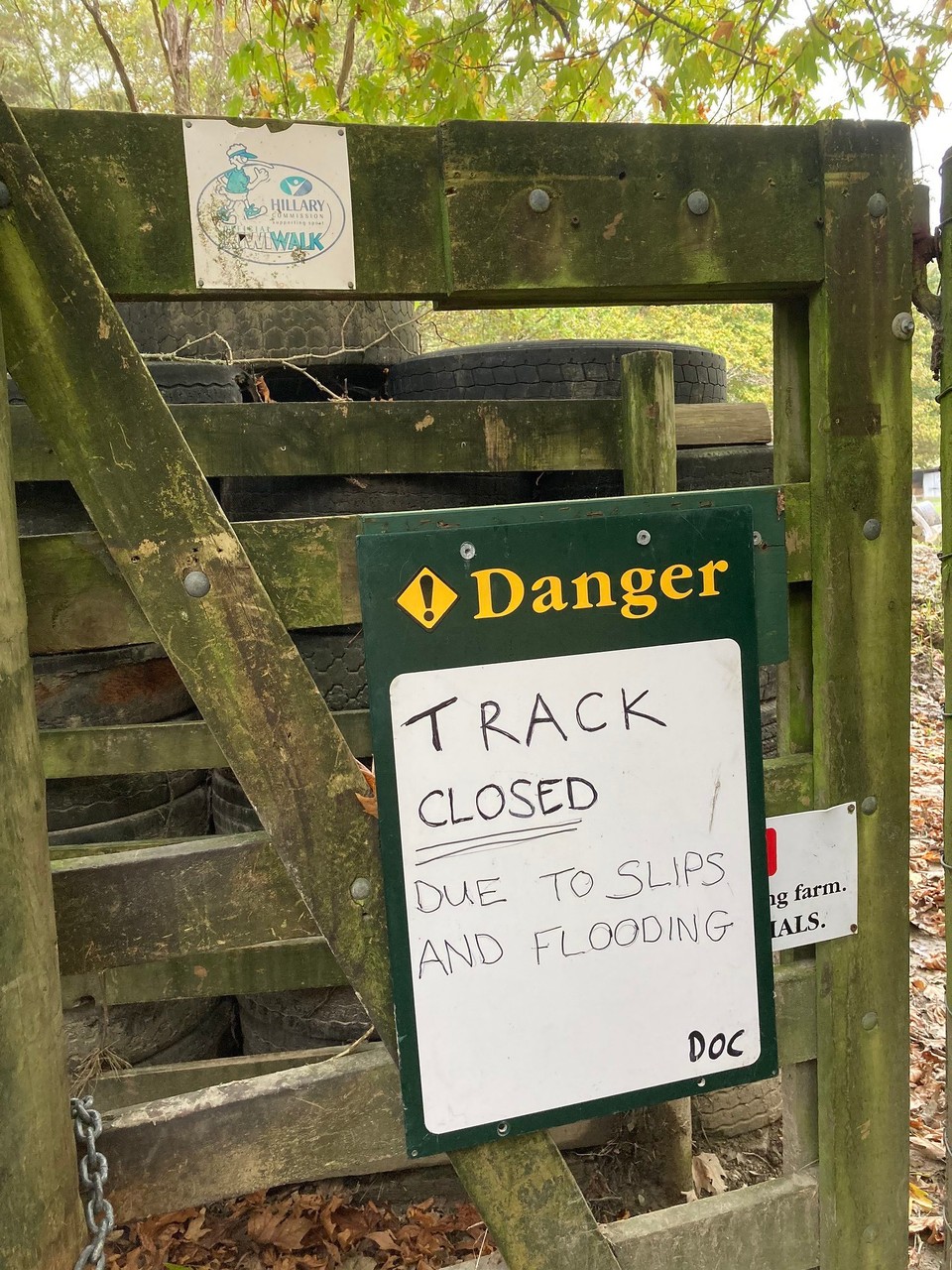 Neuseeland - Gisborne - Na toll, das war ein kurzer Sonntagsausflug 🙈