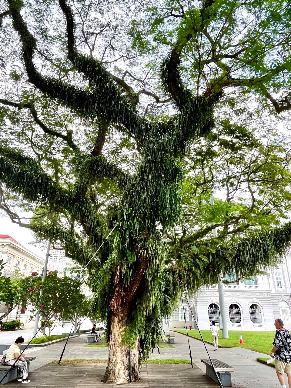 Singapur - Singapur - 
