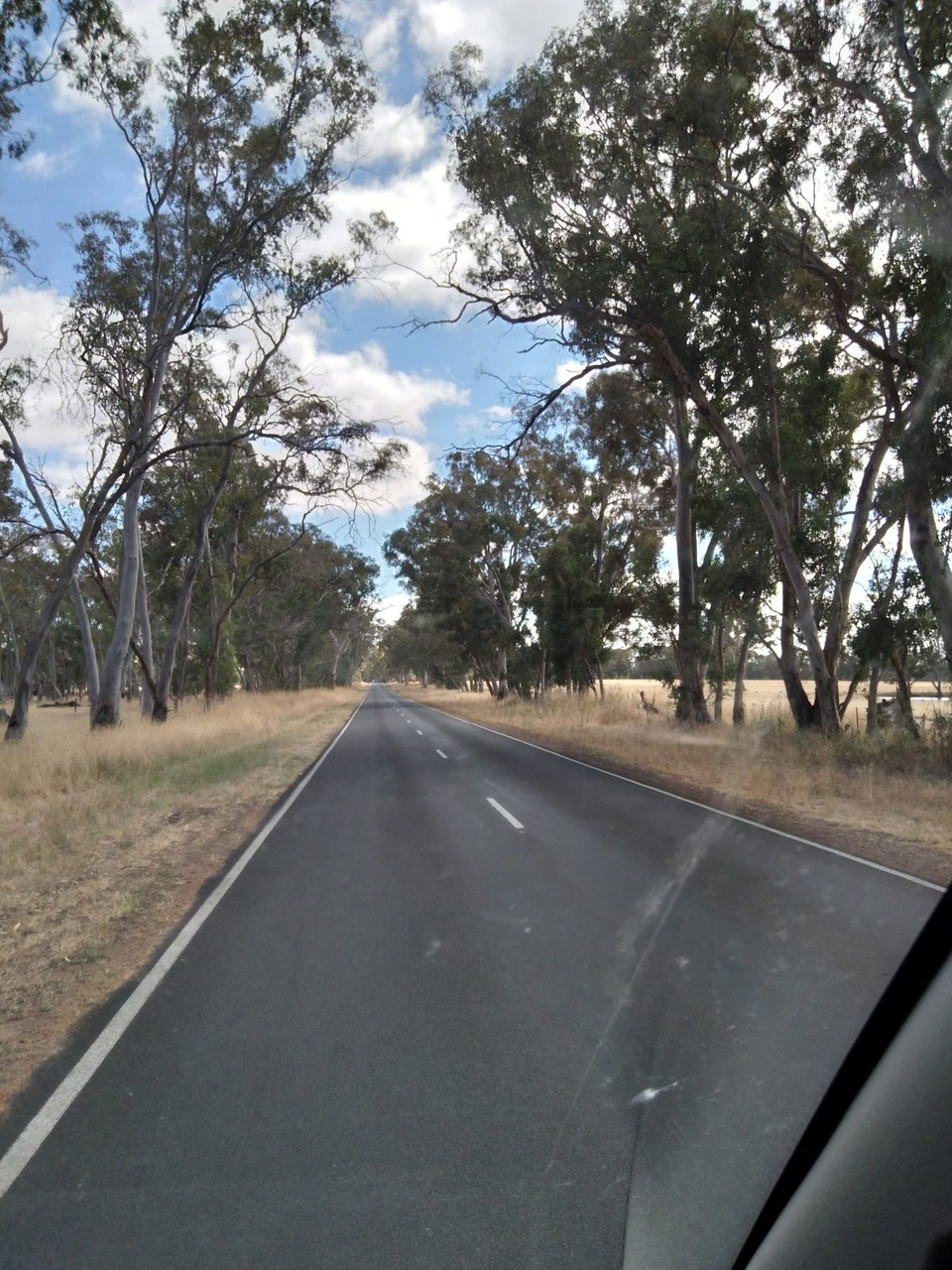 Australien - Padthaway - Keiner zu sehen