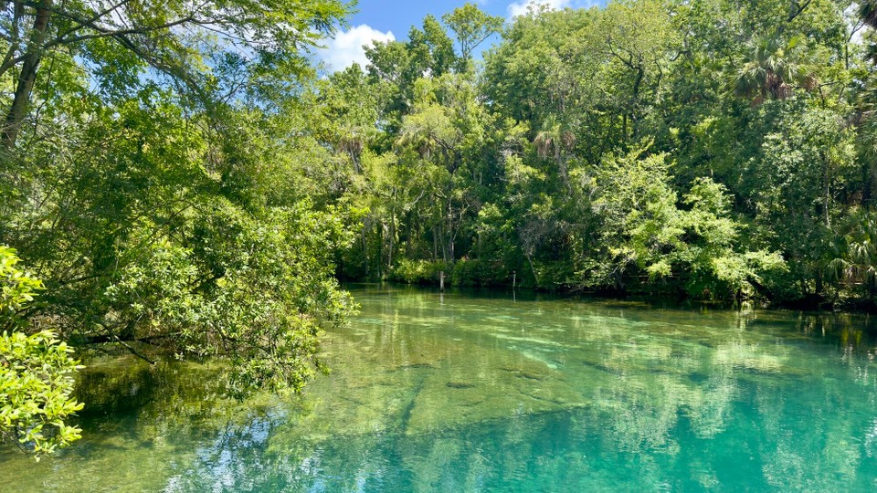 Vereinigte Staaten - Crystal River - 