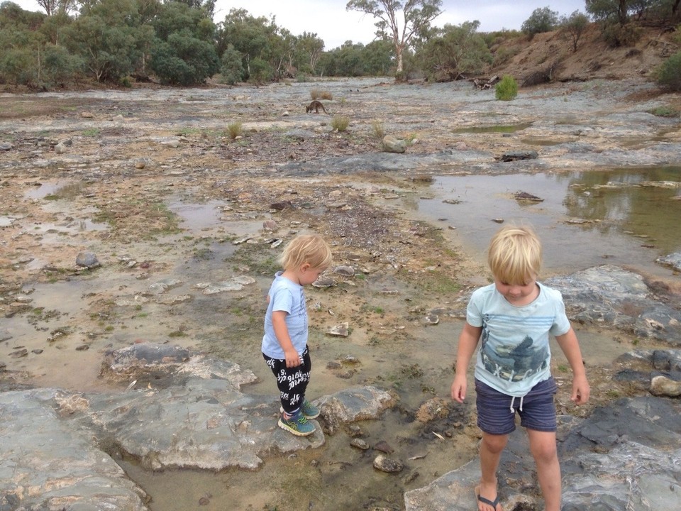 Australia - Flinders Ranges - 