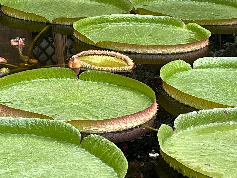 Italien - Verbania - 