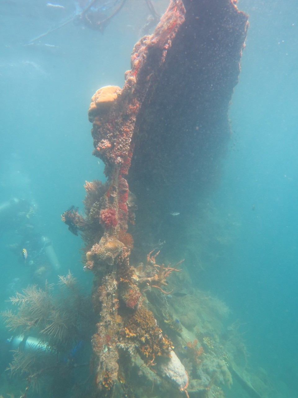 Philippines - Coron - Du coup pas possible de prendre les epaves en grand angle, ni même de les voir en entier...dommage