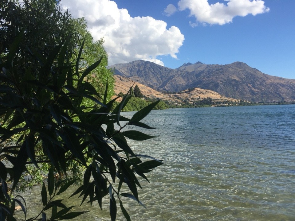 Neuseeland - Frankton - Unser Stellplatz Lake Hayes