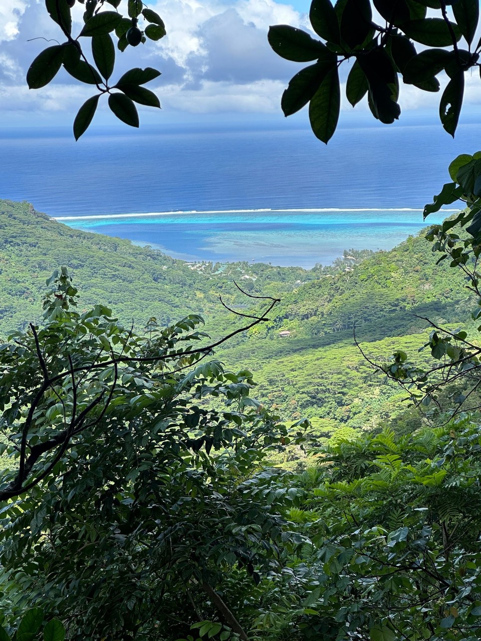 Französisch-Polynesien - Moorea-Maiao - 