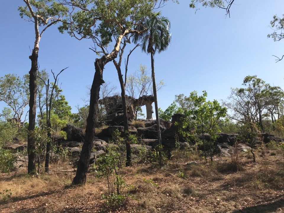 Australien - Jabiru - Termitenhügel im Litchfield Park