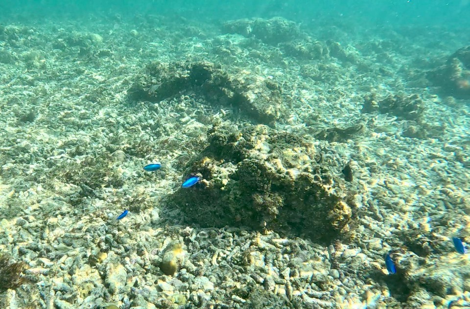 Indonesien - Kabupaten Lombok Utara - 