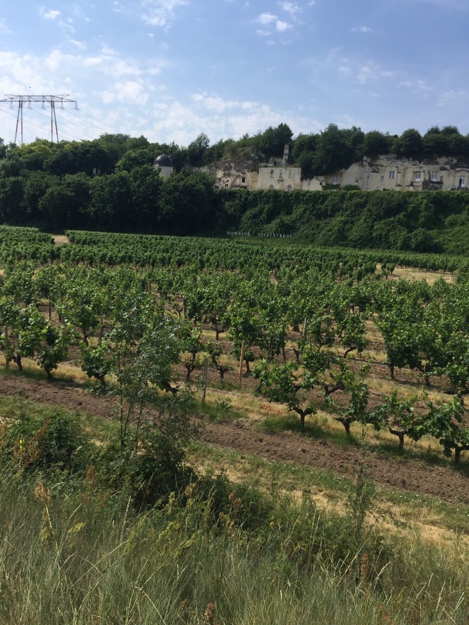 Frankreich - Langeais - 