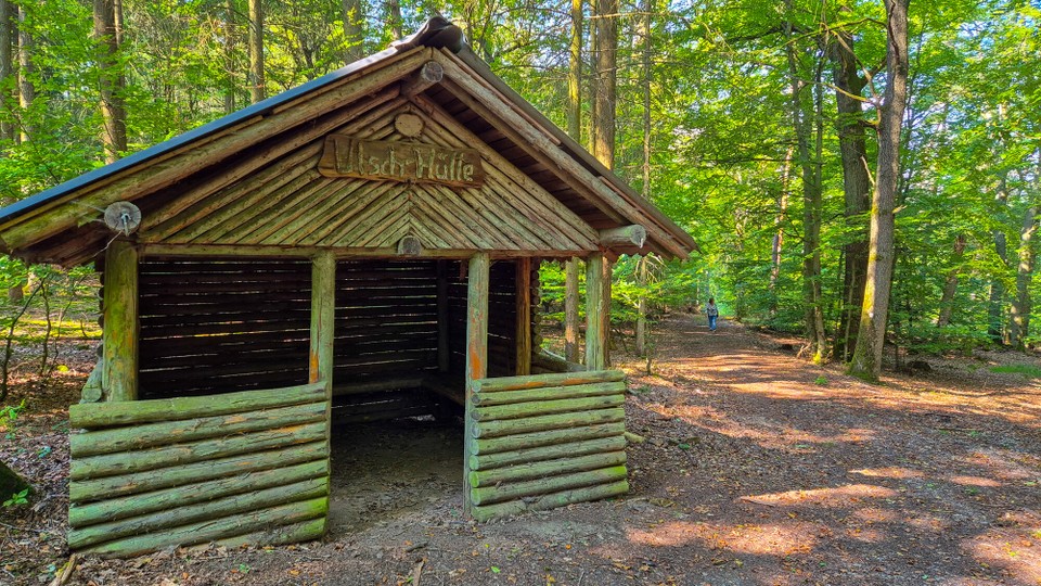 Deutschland - Auen - Um dann hier zu landen.