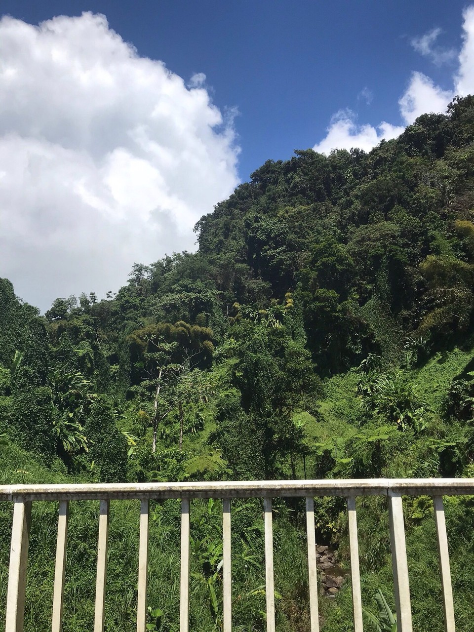 Guadeloupe -  - 