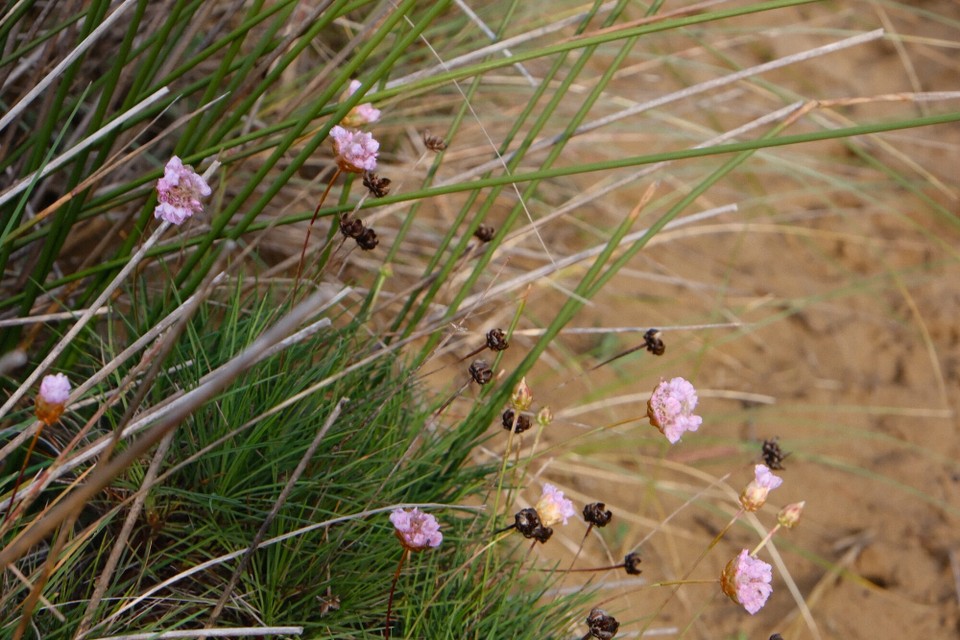 Portugal - Aljezur - 