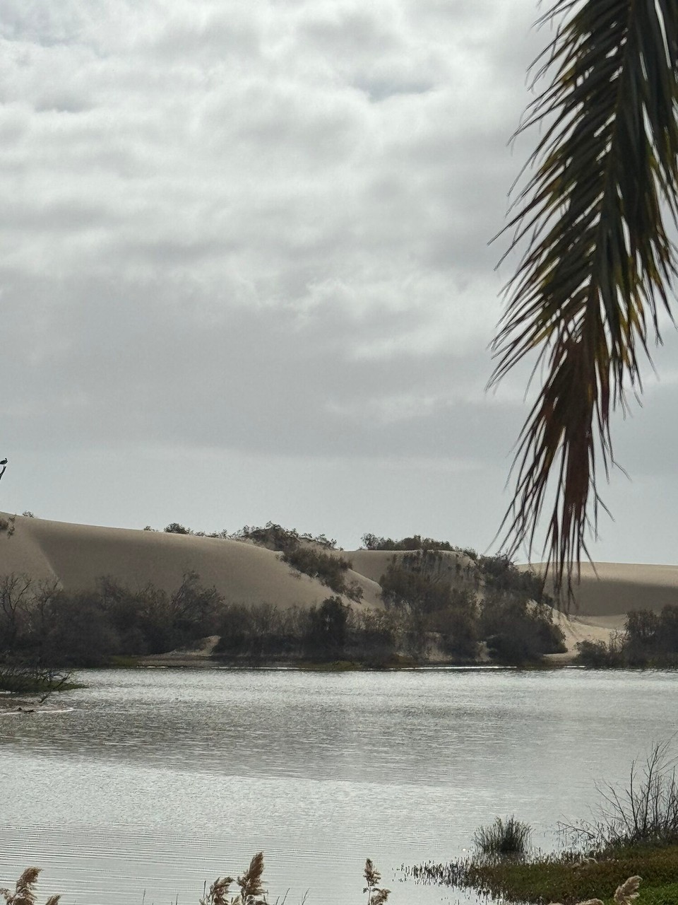 Spanien - Las Palmas de Gran Canaria - 