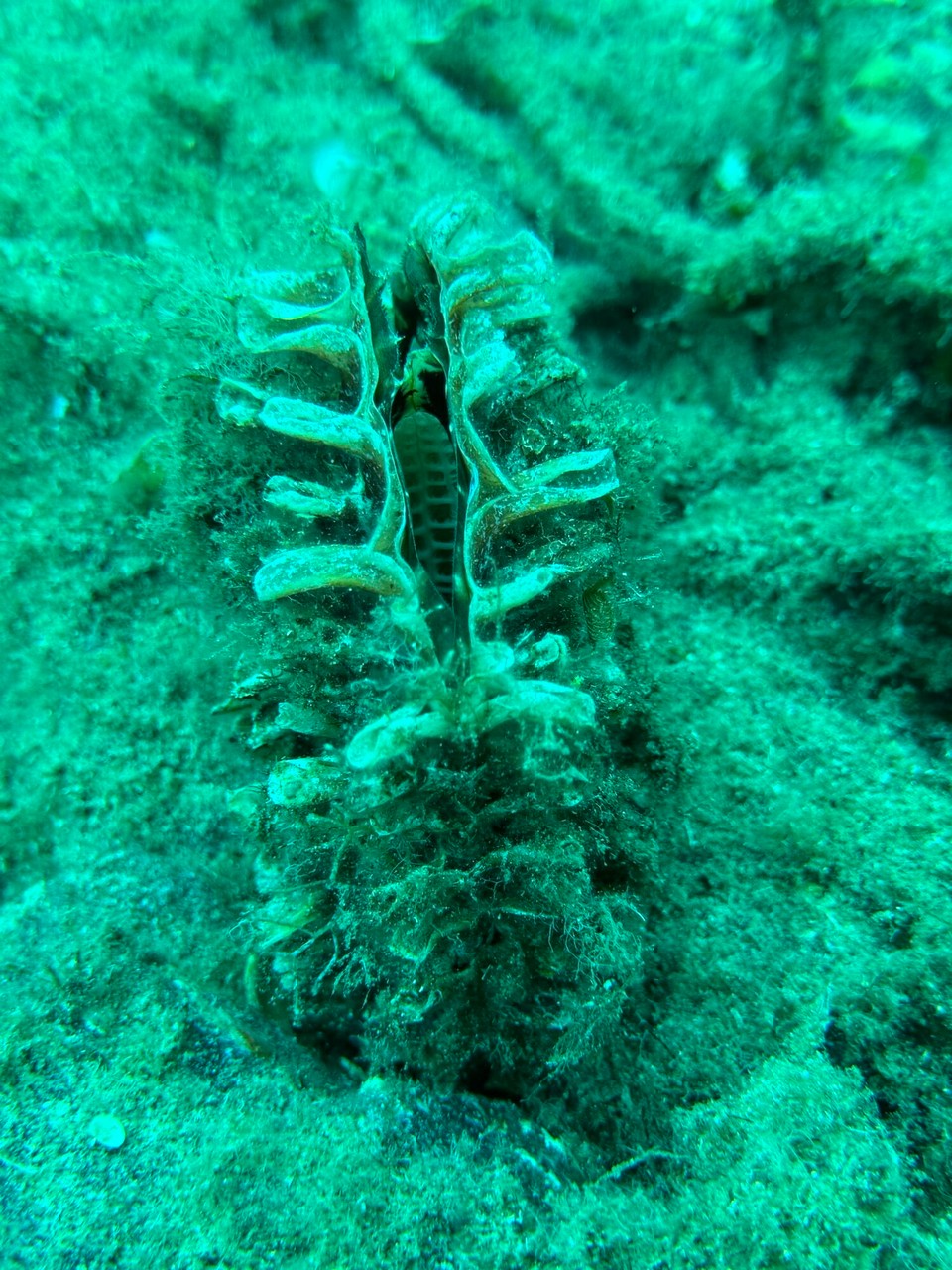 Italien - Porto Azzurro - 