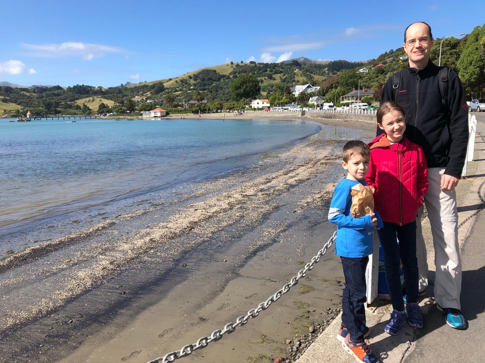 Neuseeland - Akaroa - Zurück am Strand.