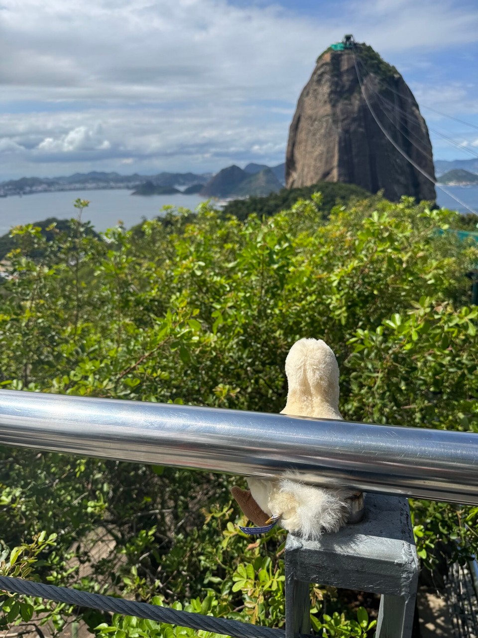 Brasilien - Rio de Janeiro - 