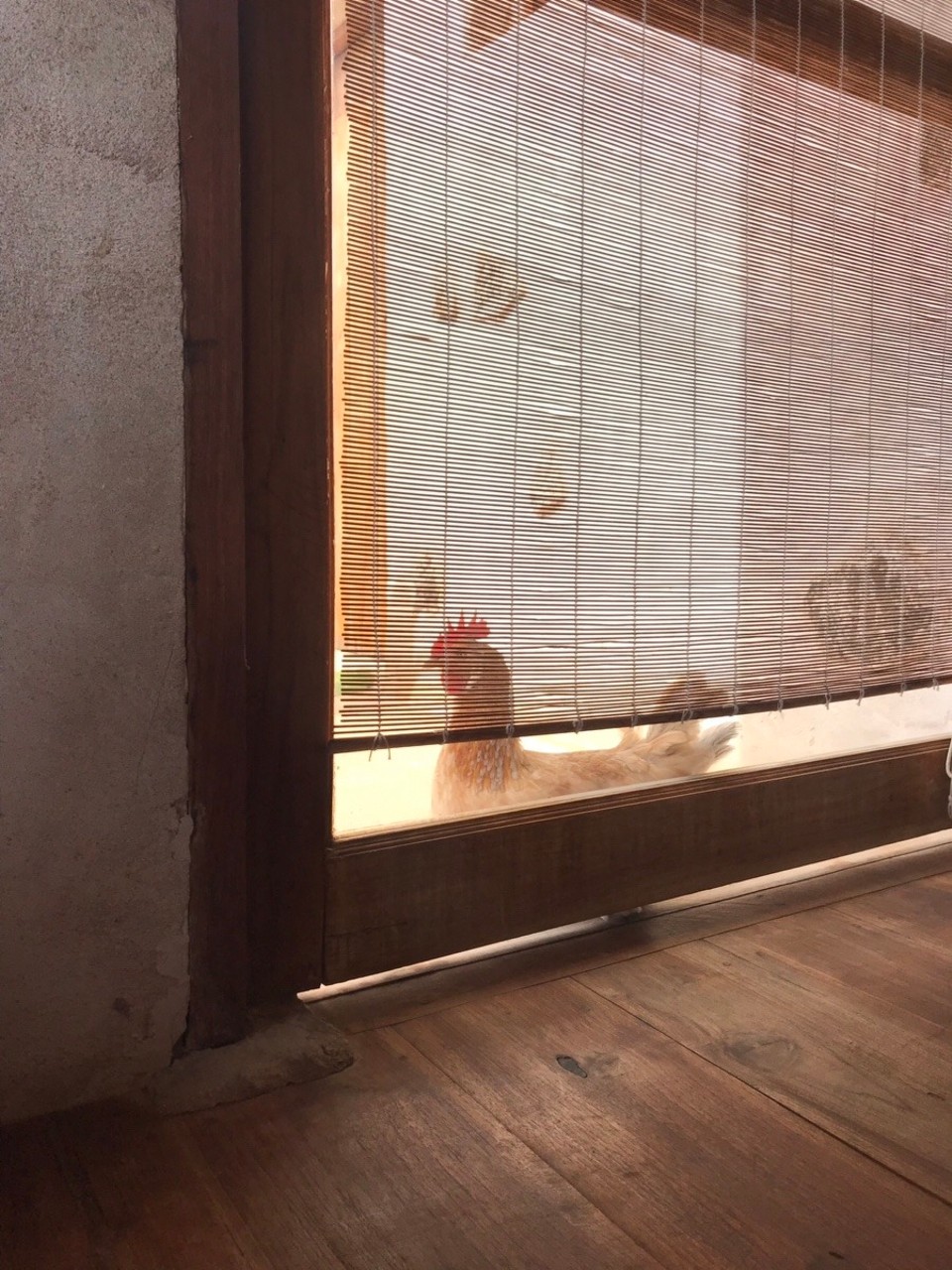 Spanien - La Oliva - Besuch von Bogbog bei der Arbeit.