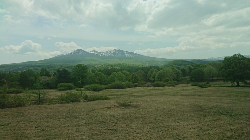 Japan - Aomori - Über dem grünen Wald erhebt sich der schneebedeckte Berg Hakkoda.