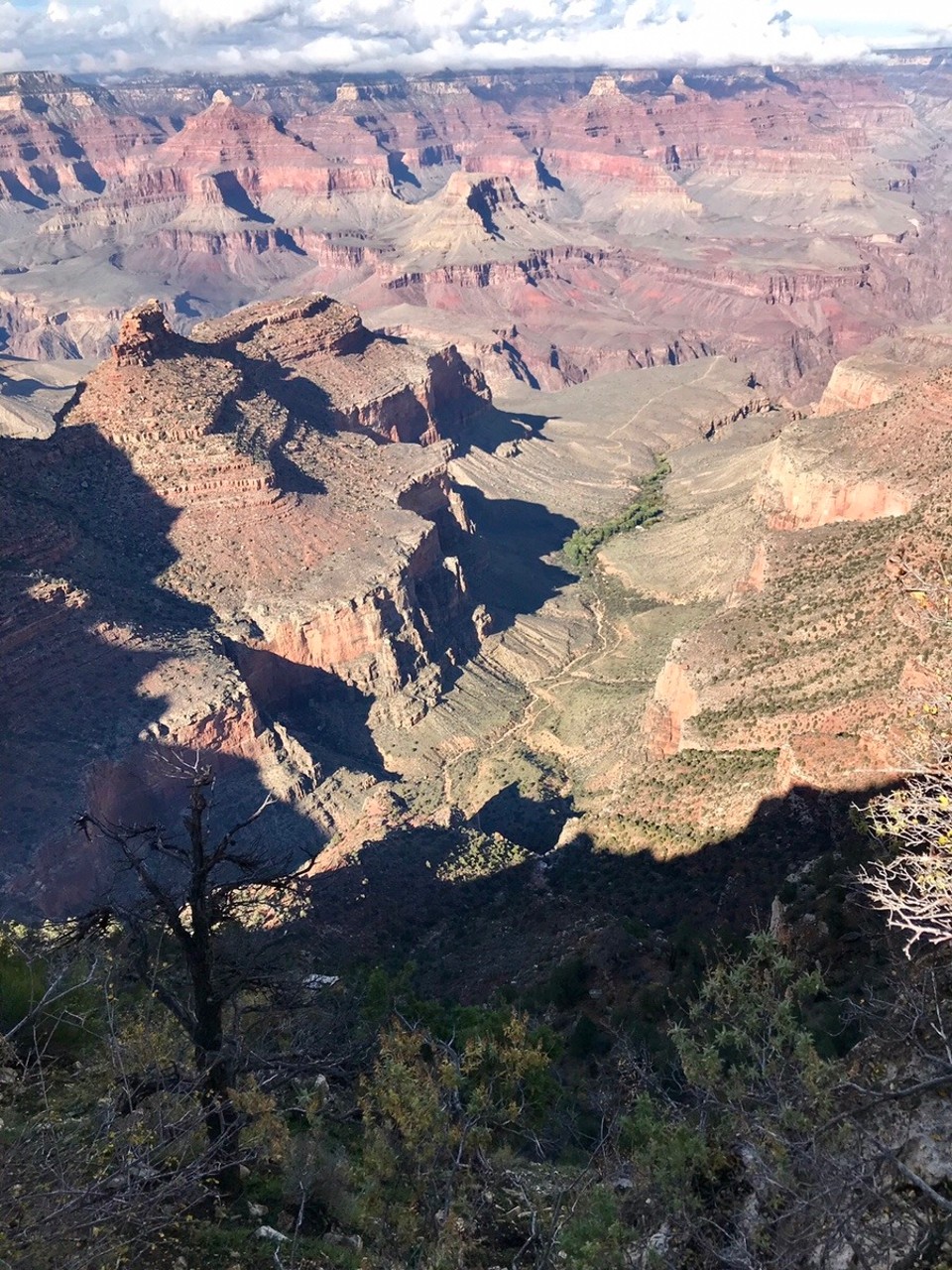 Vereinigte Staaten - Grand Canyon - 