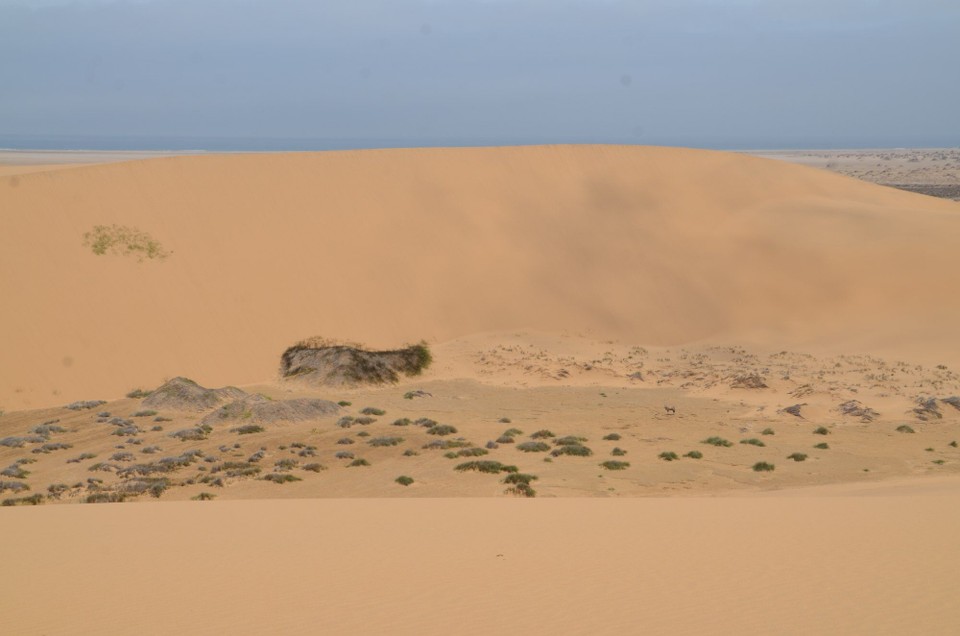 Namibia - Walfischbucht - ronn Plaz ennen tëschent den Dünen: Kessel mat Grondwaasser