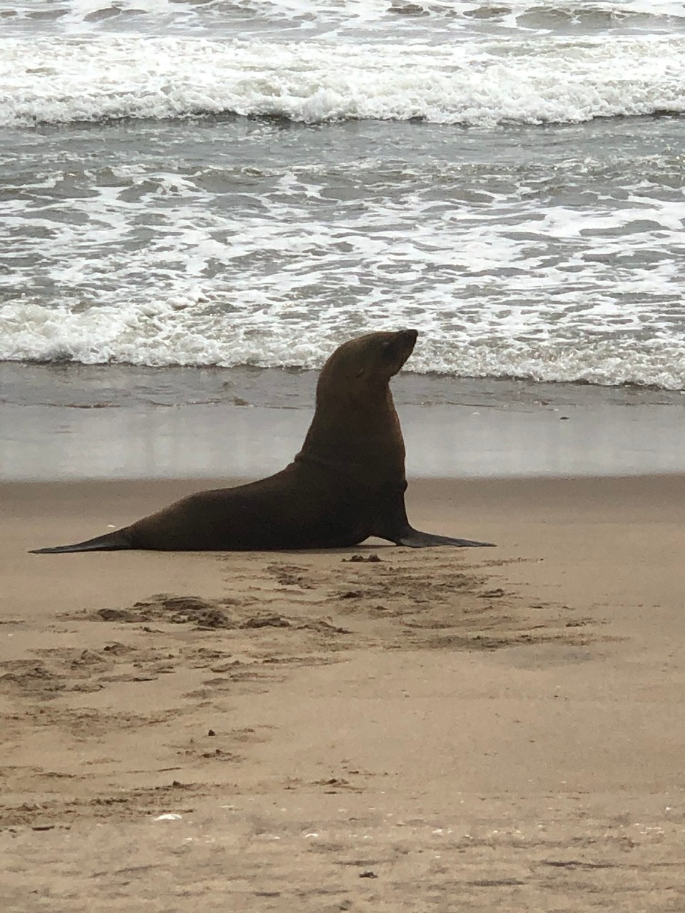 Namibia - Walvisbaai - 